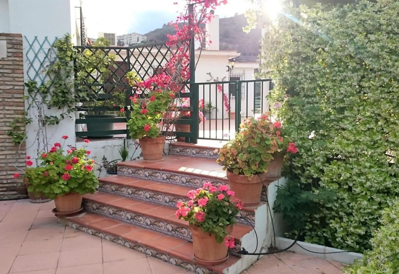 Finca Santa Matilde 말라가 외부 사진